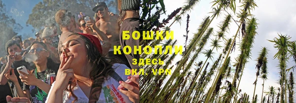 трава Медногорск