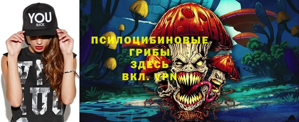 амф Арсеньев