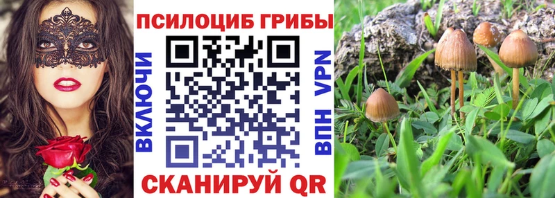 Галлюциногенные грибы GOLDEN TEACHER  Чернушка 